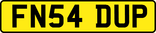 FN54DUP
