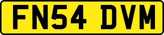 FN54DVM