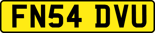 FN54DVU