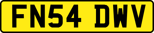 FN54DWV