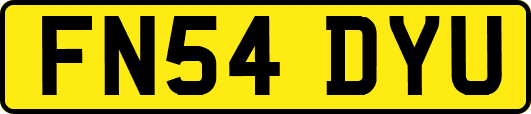 FN54DYU