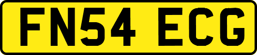 FN54ECG