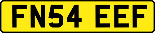 FN54EEF