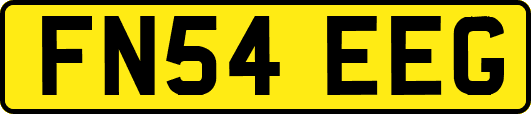 FN54EEG