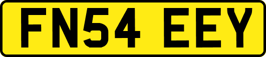 FN54EEY