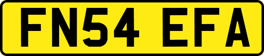 FN54EFA