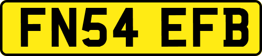 FN54EFB