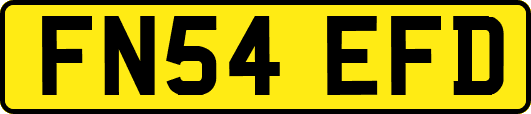 FN54EFD