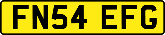 FN54EFG