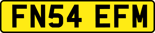 FN54EFM