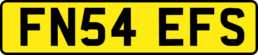 FN54EFS