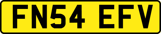 FN54EFV