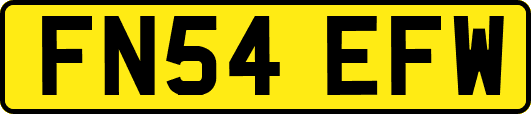 FN54EFW