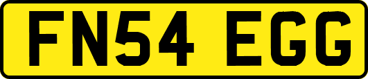 FN54EGG