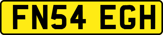 FN54EGH