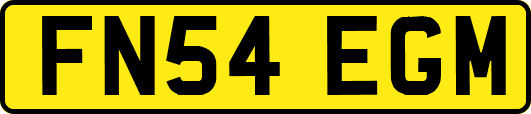 FN54EGM