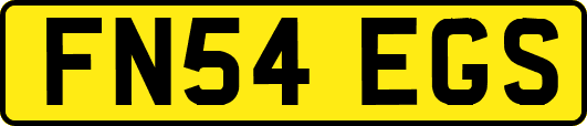 FN54EGS