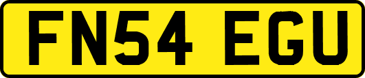 FN54EGU
