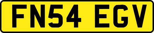 FN54EGV