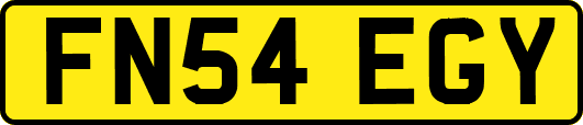FN54EGY