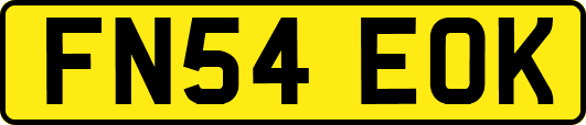 FN54EOK
