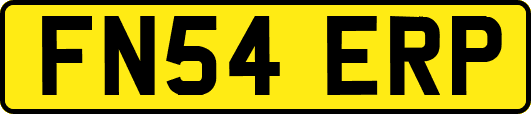 FN54ERP