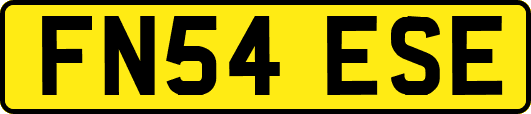 FN54ESE