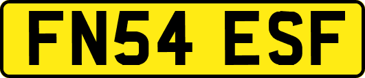 FN54ESF
