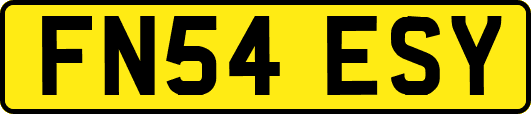 FN54ESY