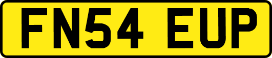 FN54EUP