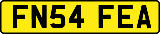 FN54FEA