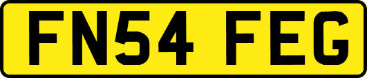 FN54FEG