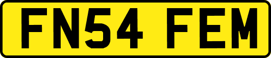 FN54FEM