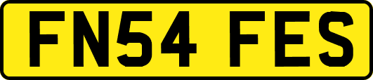 FN54FES