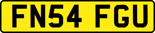 FN54FGU