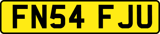 FN54FJU