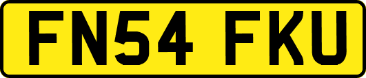 FN54FKU