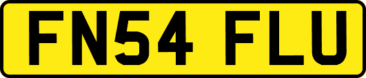 FN54FLU