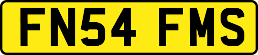 FN54FMS