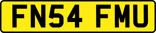 FN54FMU