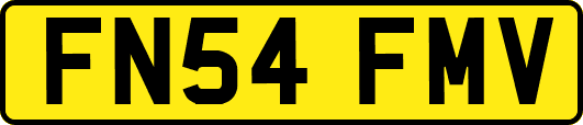 FN54FMV