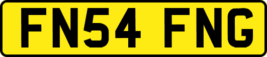 FN54FNG