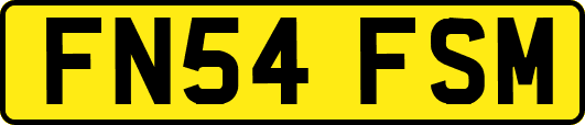 FN54FSM