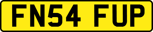 FN54FUP