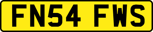 FN54FWS