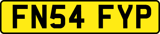 FN54FYP