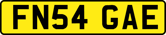 FN54GAE