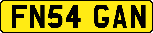 FN54GAN