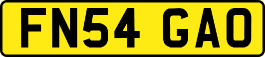 FN54GAO
