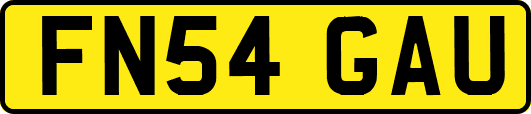 FN54GAU